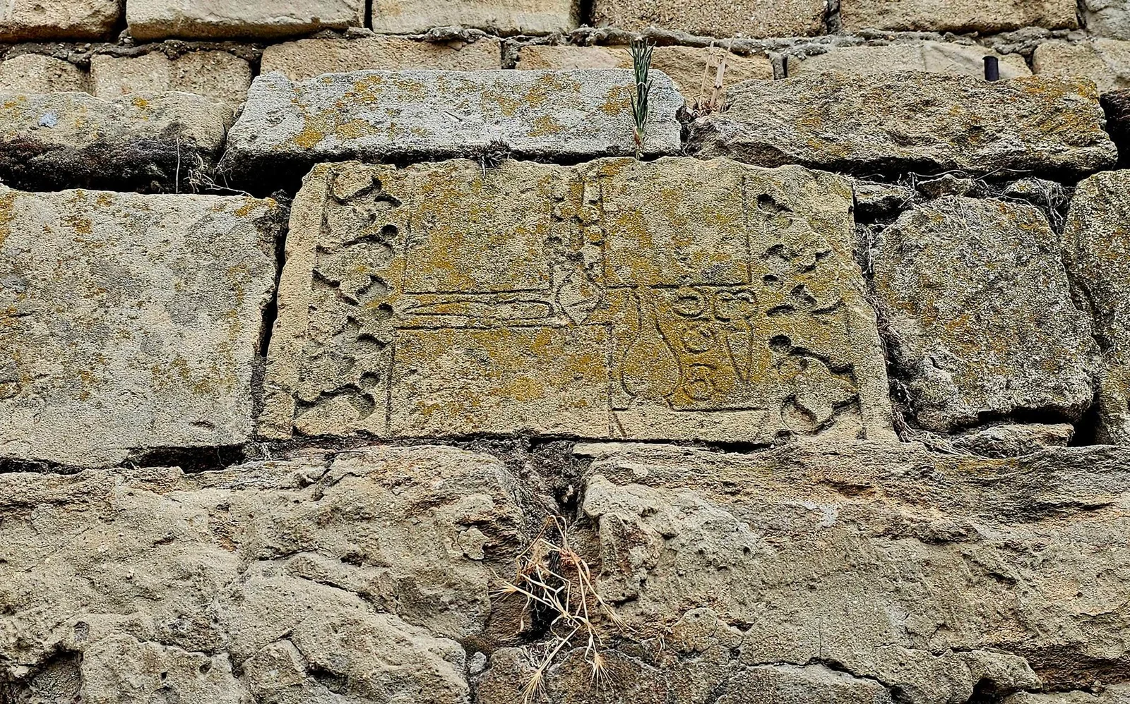 Əmircanın 7-ci qatı - Fotoreportaj