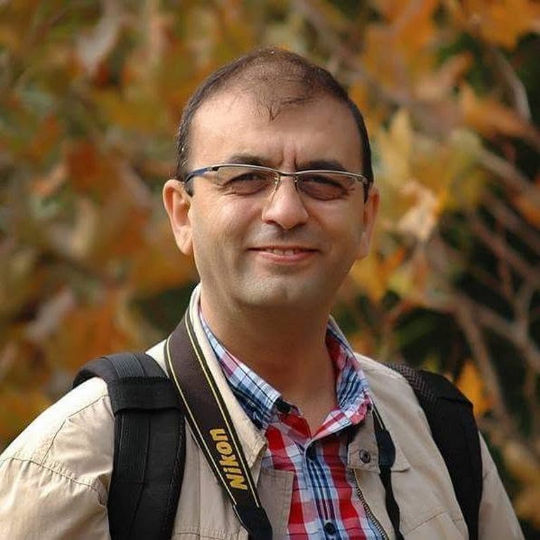 Tarkan Kızartıcı